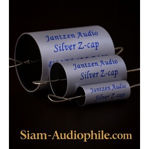 Jantzen Silver Z-cap