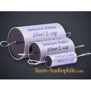Jantzen Silver Z-cap