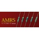 AMTRANS AMRS Carbon Film Resistors