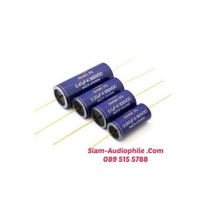AMCS Oil Capacitor