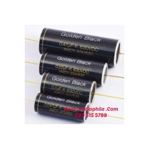 AMCY Alminum Foiled Oil Capacitor